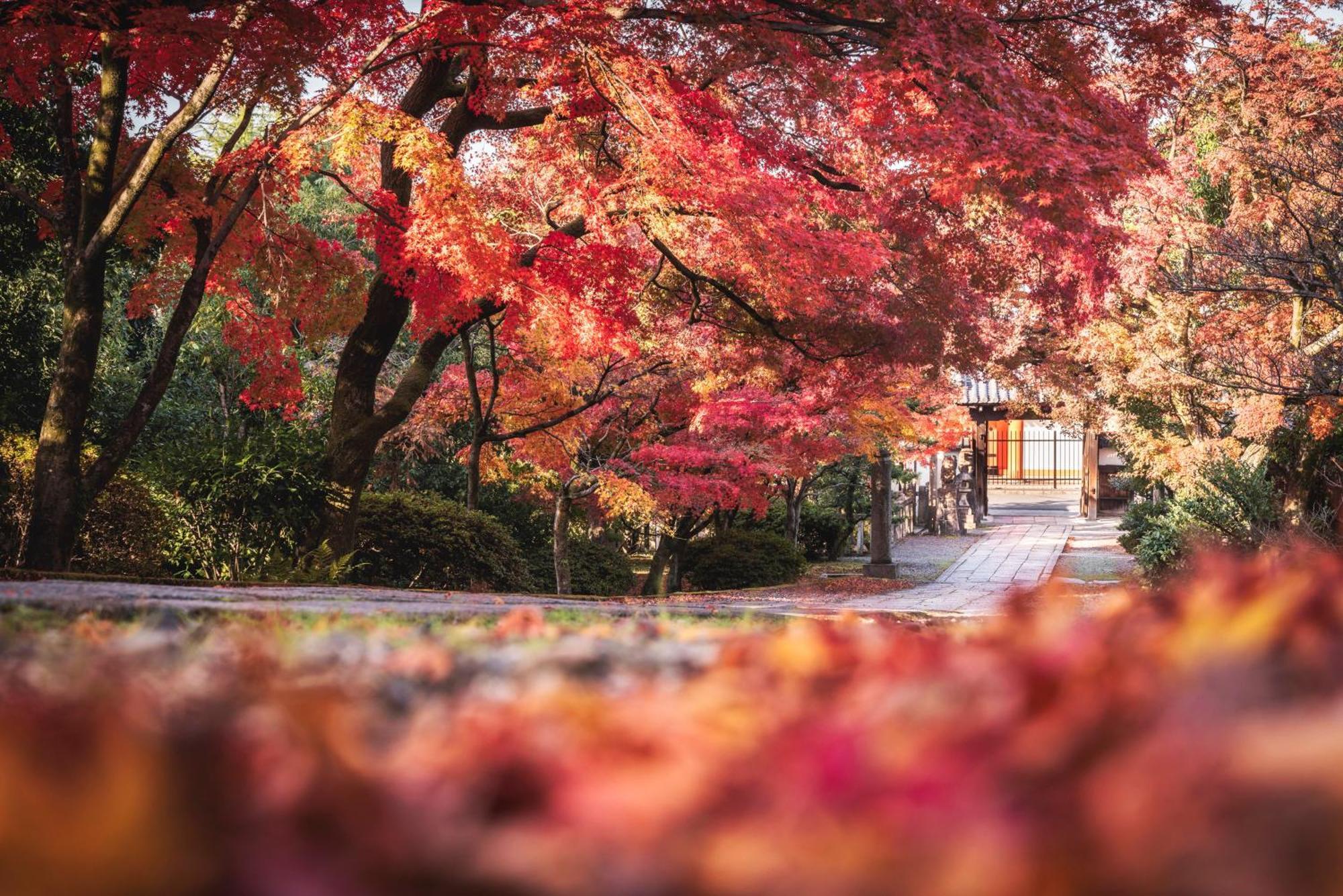 Omo5 Kyoto Gion By Hoshino Resorts Extérieur photo